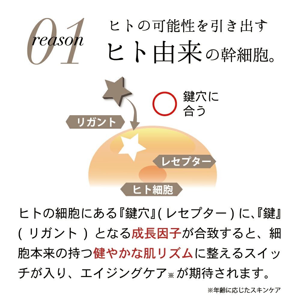 ヒト由来の幹細胞